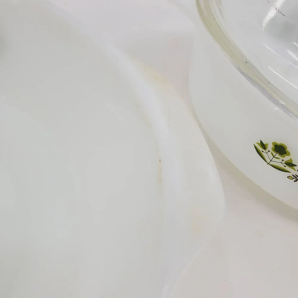 Vintage Anchor Hocking Co Meadow Green‎ Print 2 Circle Casserole Dishes
